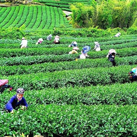 Tianyi Homestay Fenchihu Esterno foto