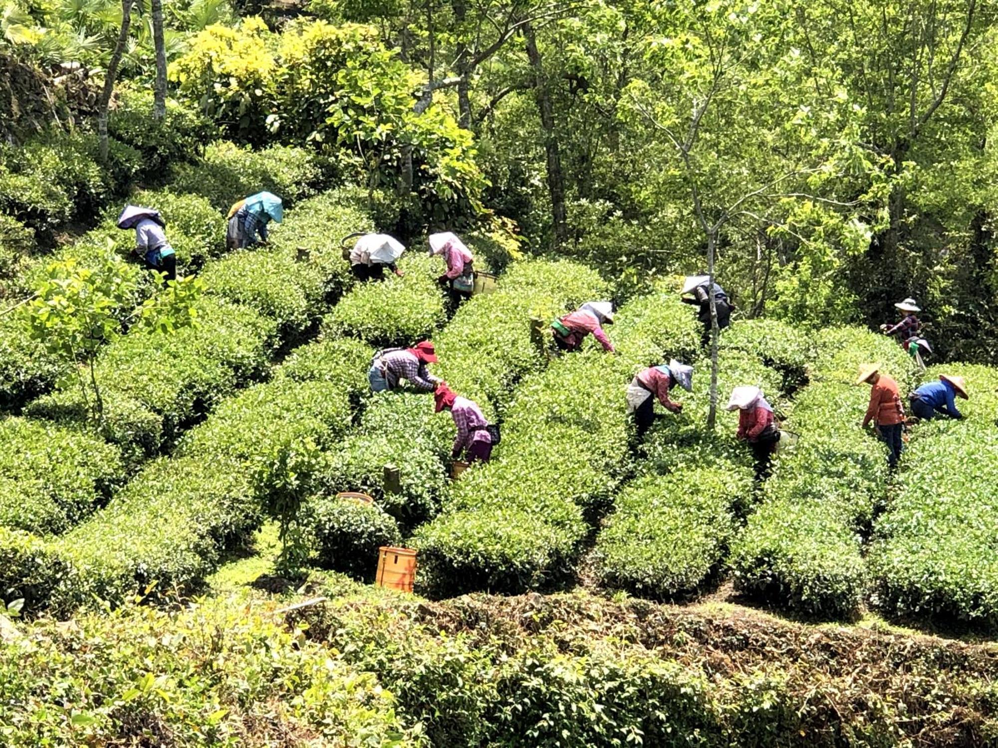 Tianyi Homestay Fenchihu Esterno foto
