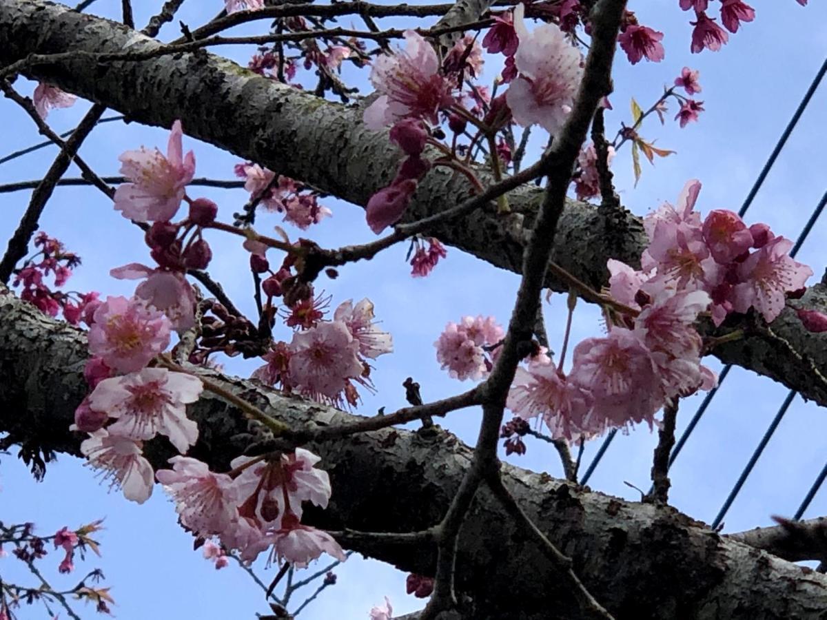 Tianyi Homestay Fenchihu Esterno foto