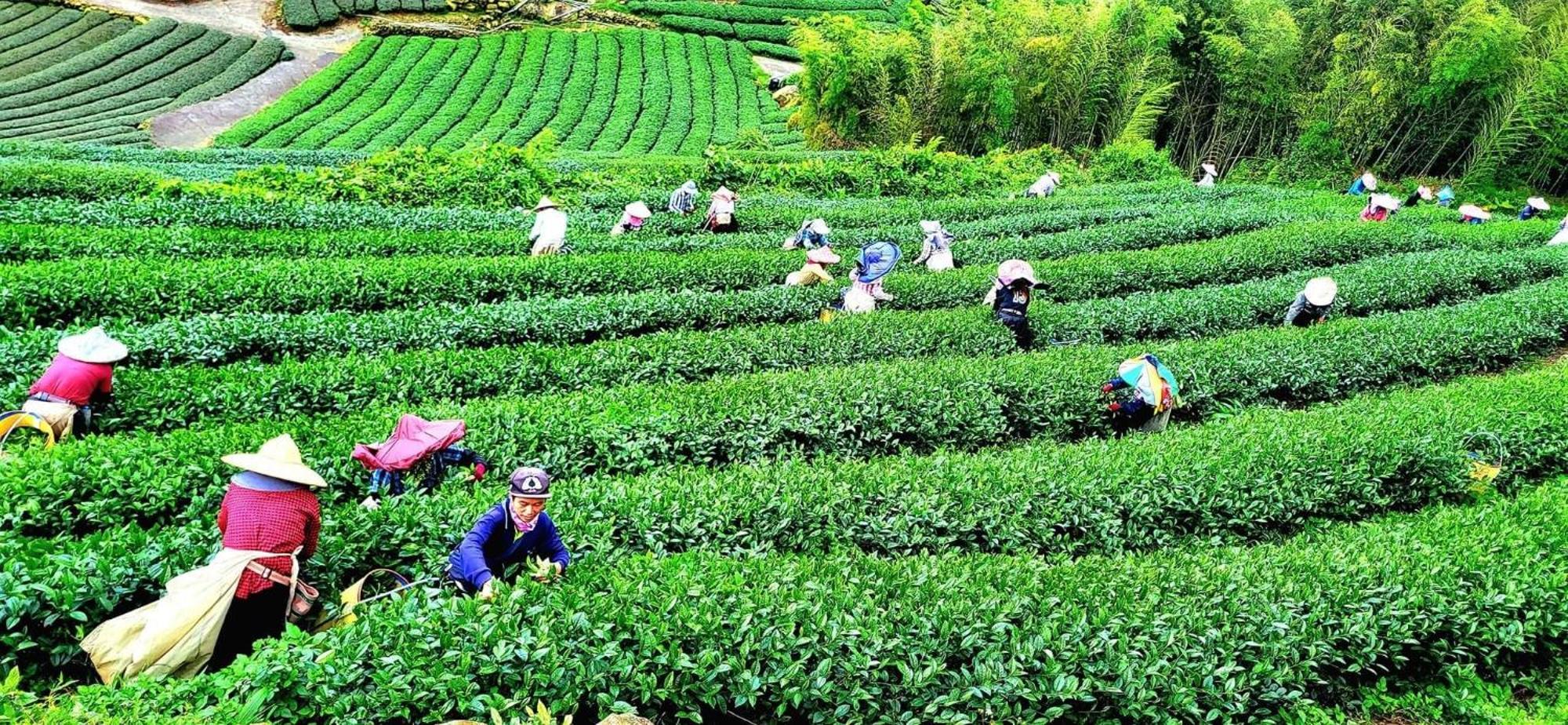Tianyi Homestay Fenchihu Esterno foto